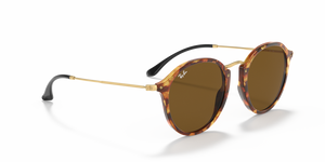 
                  
                    RAY BAN RB 2447 1160
                  
                