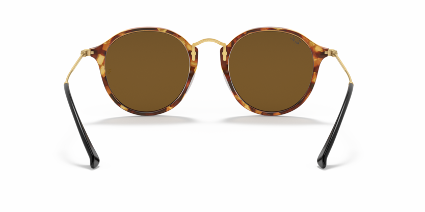 
                  
                    RAY BAN RB 2447 1160
                  
                