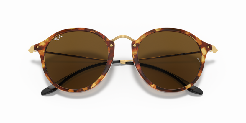 
                  
                    RAY BAN RB 2447 1160
                  
                