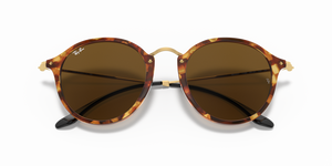 
                  
                    RAY BAN RB 2447 1160
                  
                