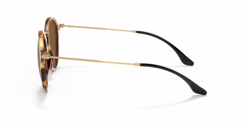 
                  
                    RAY BAN RB 2447 1160
                  
                