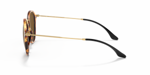 
                  
                    RAY BAN RB 2447 1160
                  
                