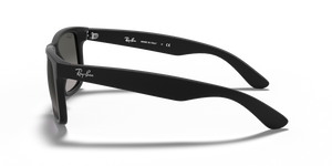 
                  
                    RAY BAN RB 4165 601/8G
                  
                