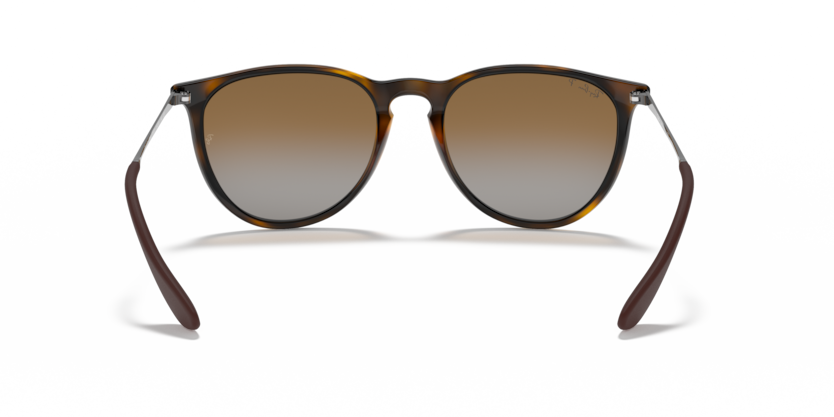 
                  
                    RAY BAN RB 4171 710/T5 Erika
                  
                