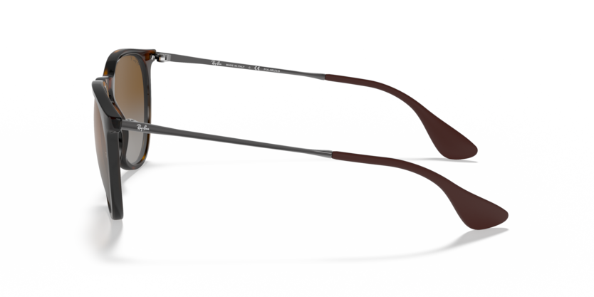 
                  
                    RAY BAN RB 4171 710/T5 Erika
                  
                