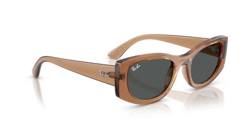 
                  
                    RAY BAN RB 4446L 678487
                  
                