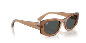 
                  
                    RAY BAN RB 4446L 678487
                  
                