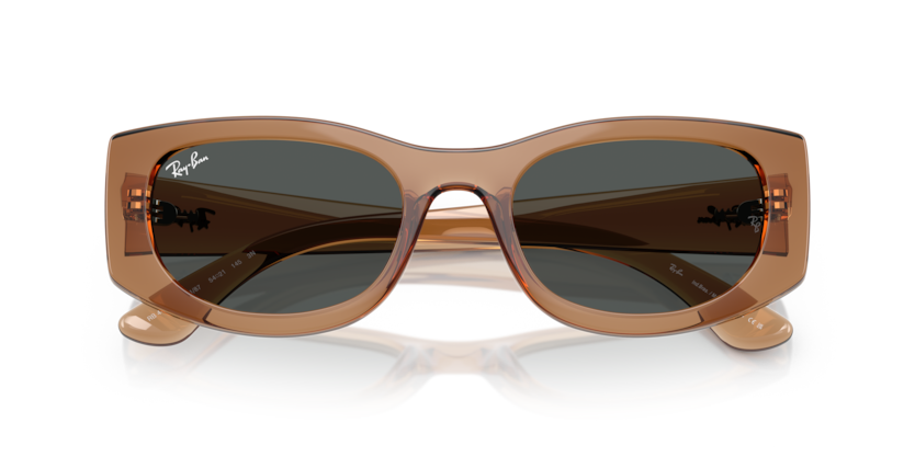 
                  
                    RAY BAN RB 4446L 678487
                  
                