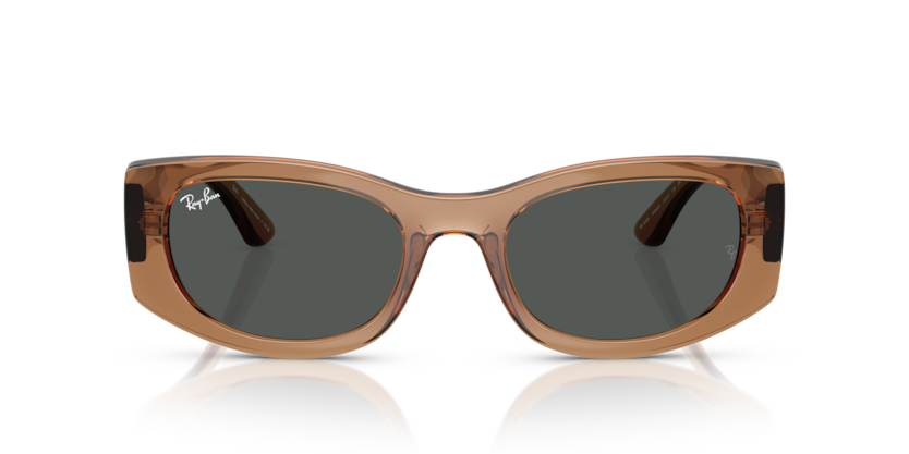 
                  
                    RAY BAN RB 4446L 678487
                  
                