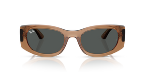 
                  
                    RAY BAN RB 4446L 678487
                  
                