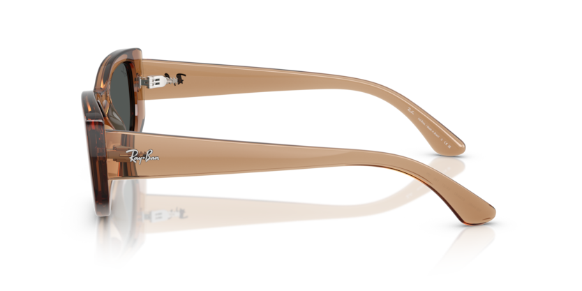 
                  
                    RAY BAN RB 4446L 678487
                  
                