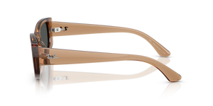 
                  
                    RAY BAN RB 4446L 678487
                  
                