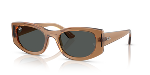 
                  
                    RAY BAN RB 4446L 678487
                  
                